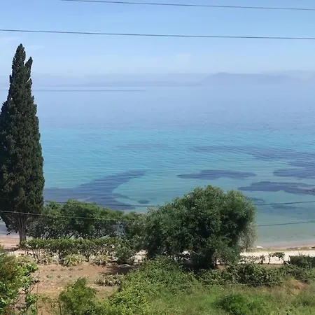 Aliki
